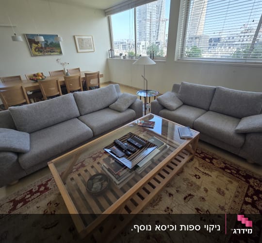 סלון עם ספות אפורות ושולחן זכוכית